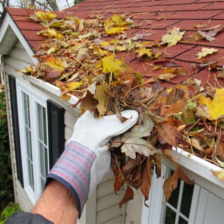A gloved hand removes a pile of fallen leaves from a white gutter on a red-shingled roof, demonstrating the importance of regular gutter cleaning to prevent clogs and water damage.