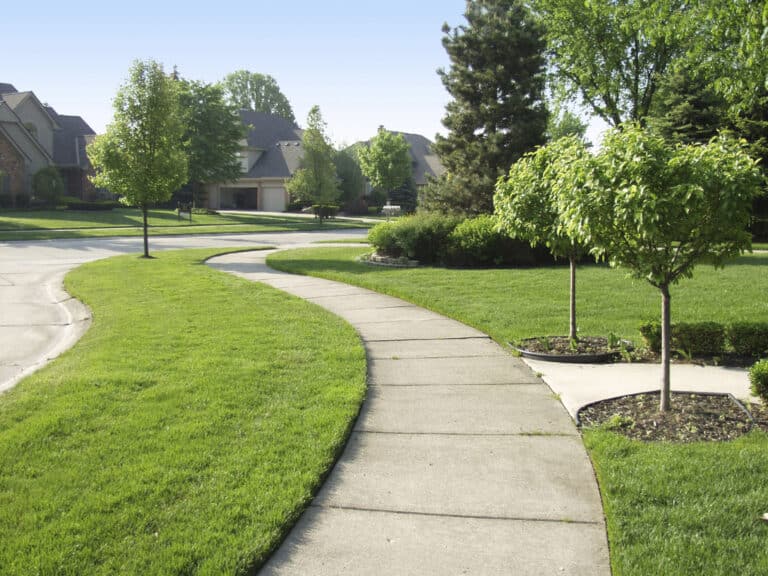 A well-maintained suburban neighborhood with clean sidewalks, manicured lawns, and neatly trimmed trees, showcasing the impact of professional pressure washing services on community appearance.